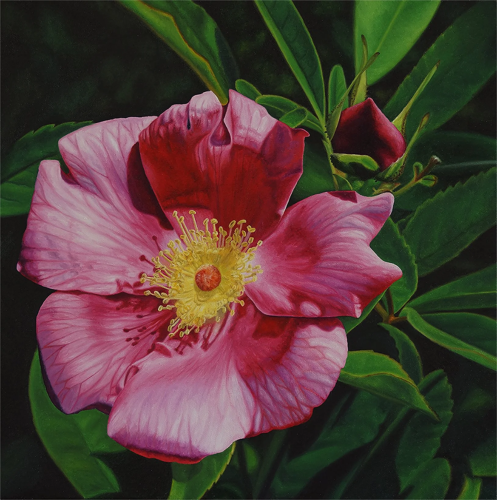 Swamp Rose - 19" x 19 " - Sold