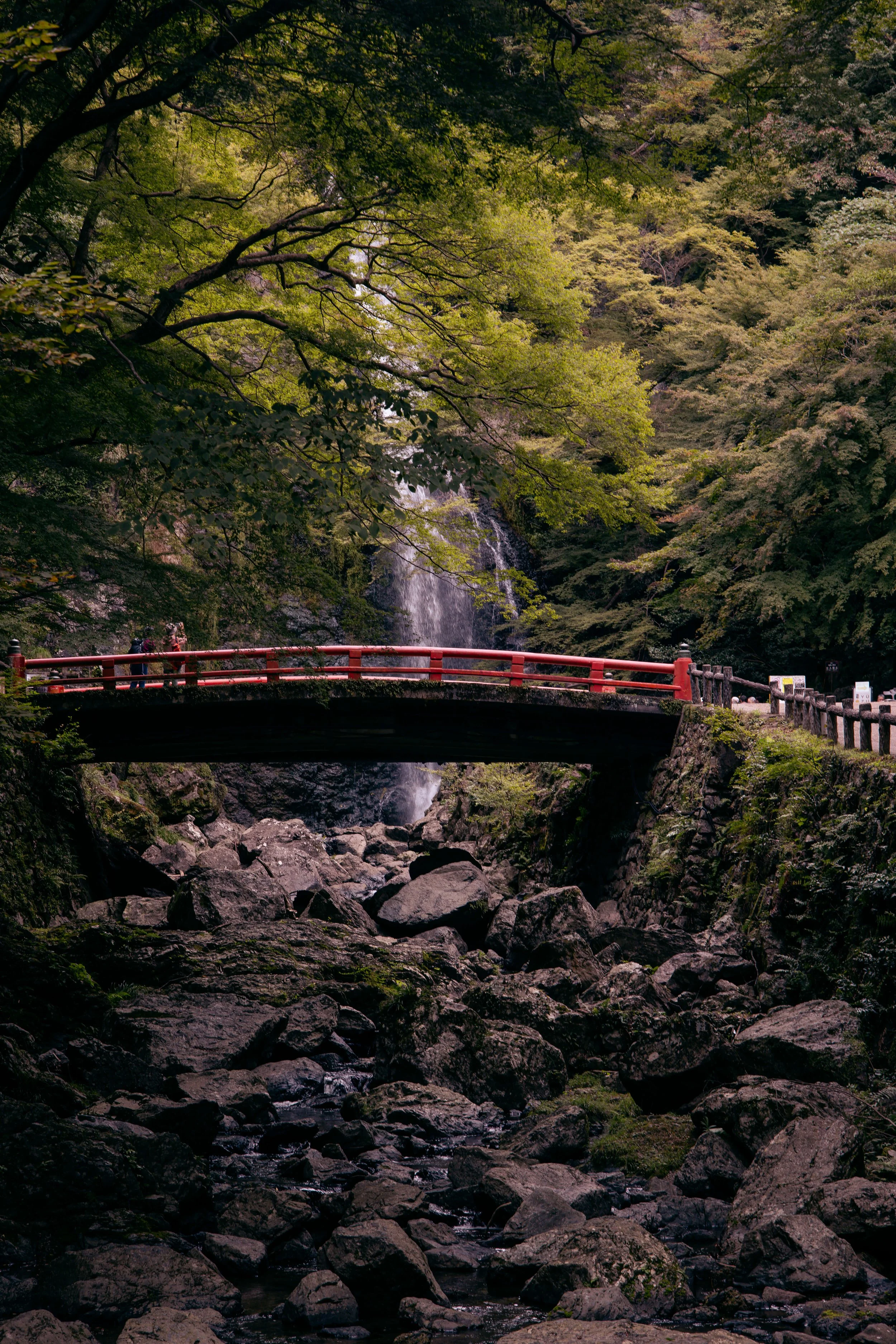 A red bridge crossing over a rocky stream in a lush green forest with a small waterfall in the background.