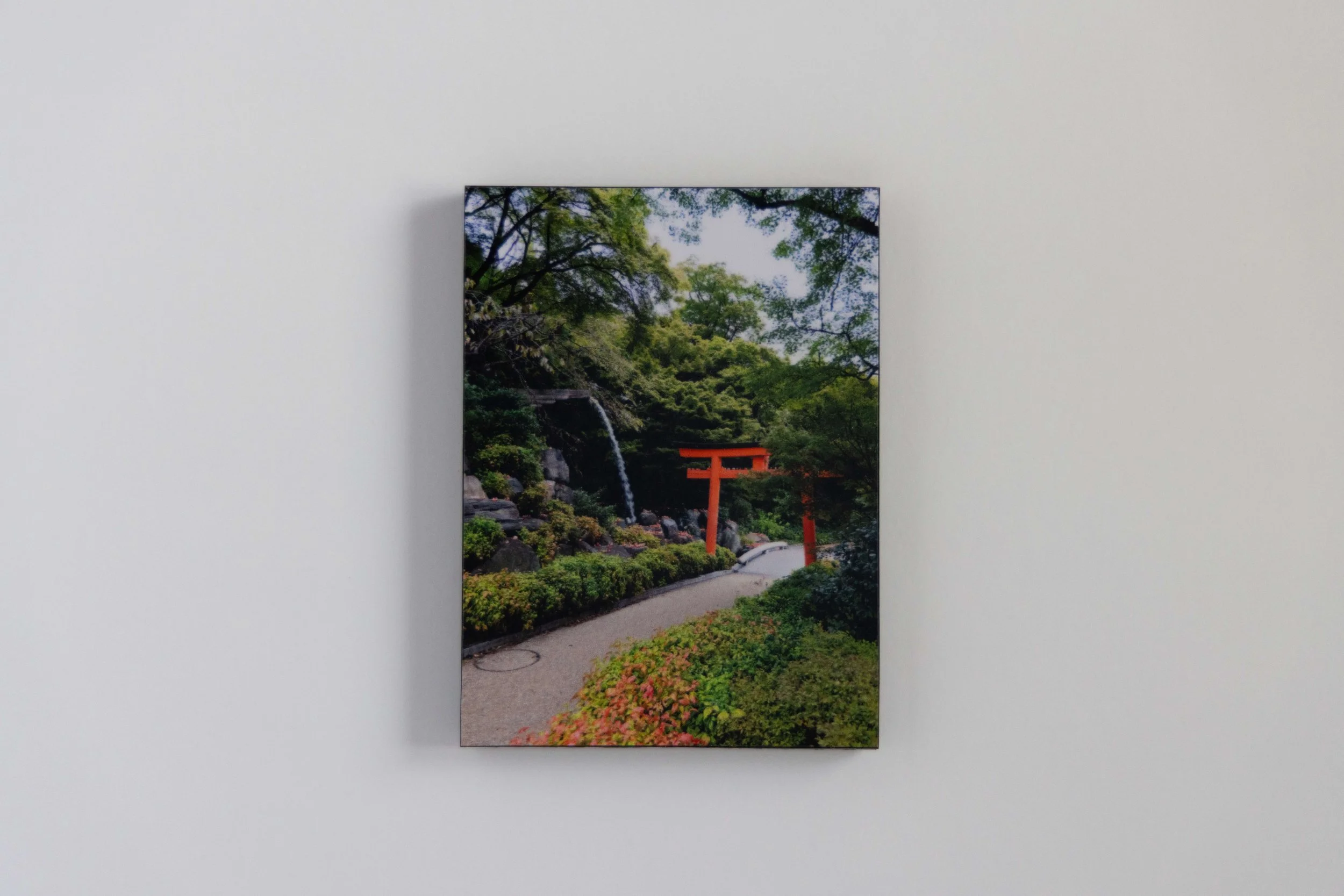 Path Through the Torii