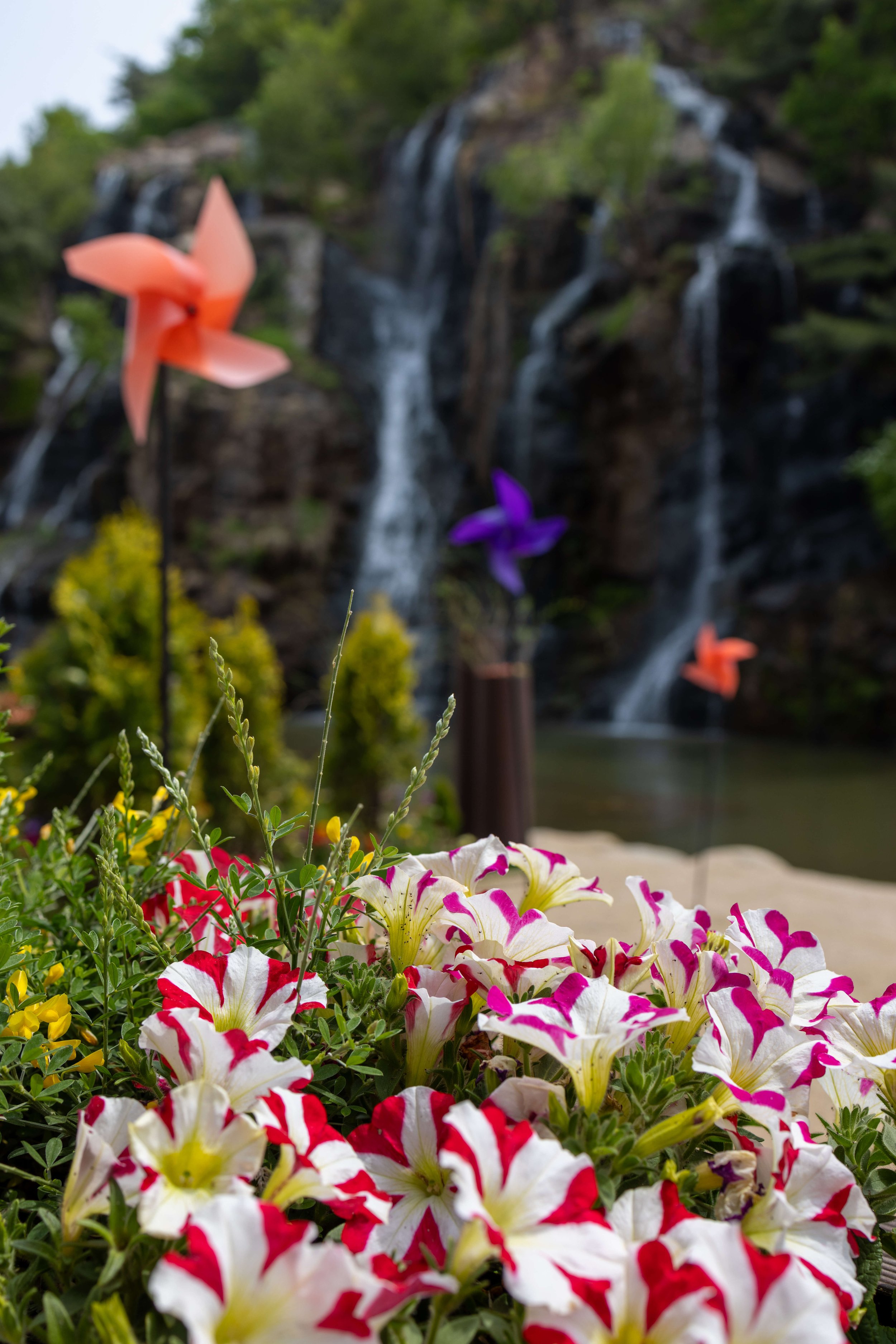 Colorful flowers including petunias and other blooms in the foreground with a blurred waterfall and lush greenery in the background.