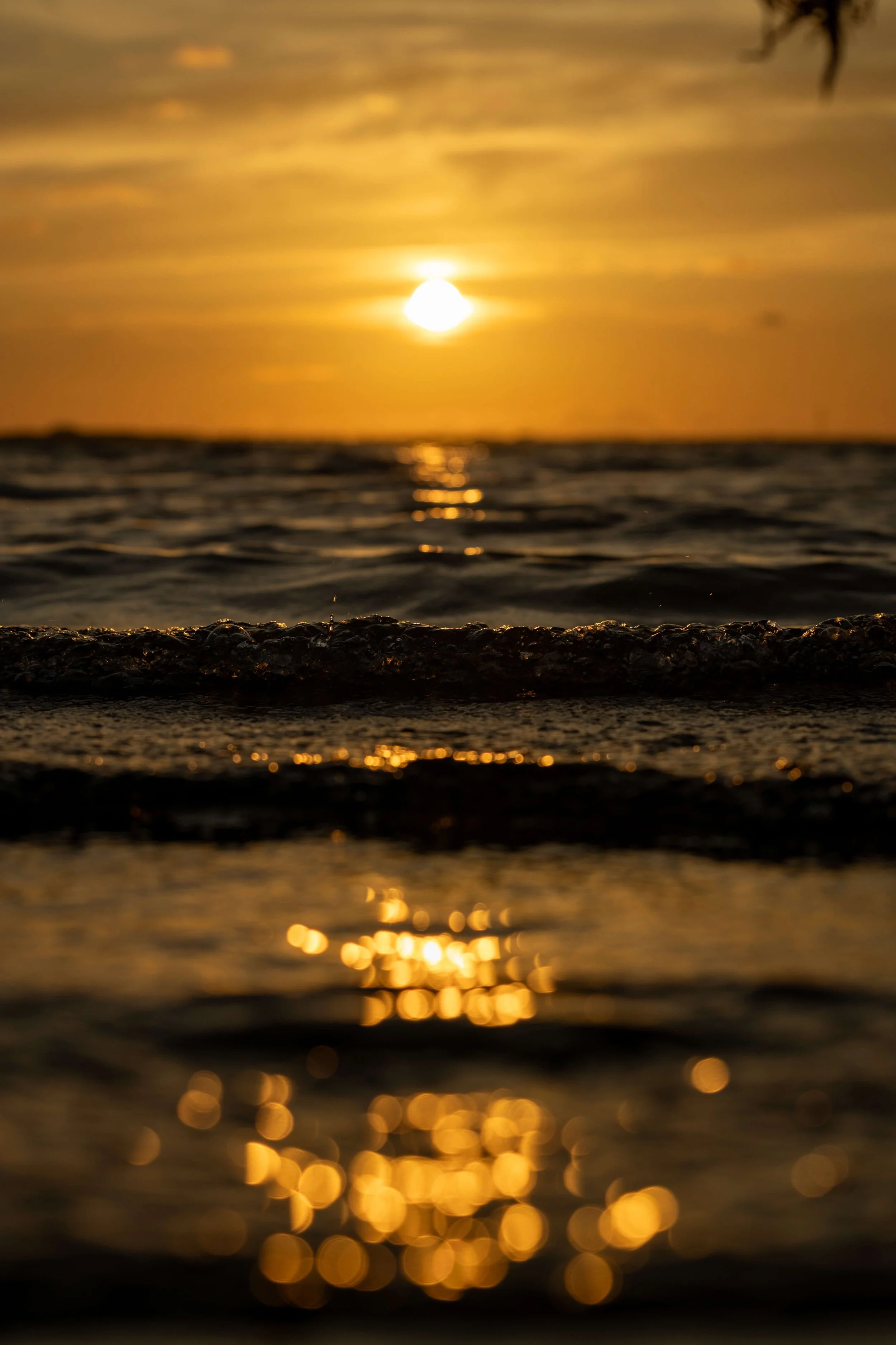 Sunset over the ocean with golden reflections on the water and a horizon line