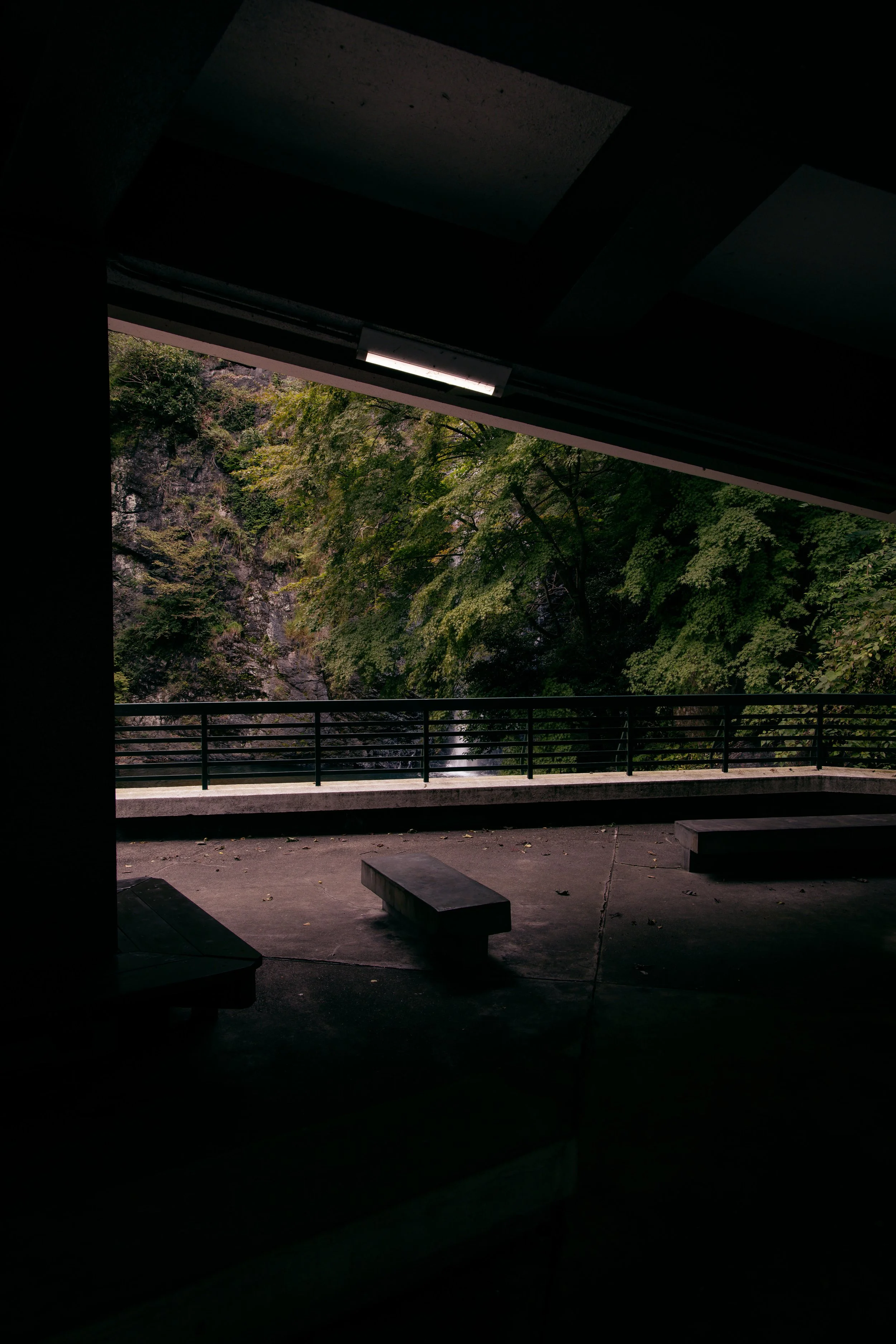 View through a window or open space showing a lush green forest with trees and a waterfall in the distance. Dark structure framing the scene with benches in the foreground.