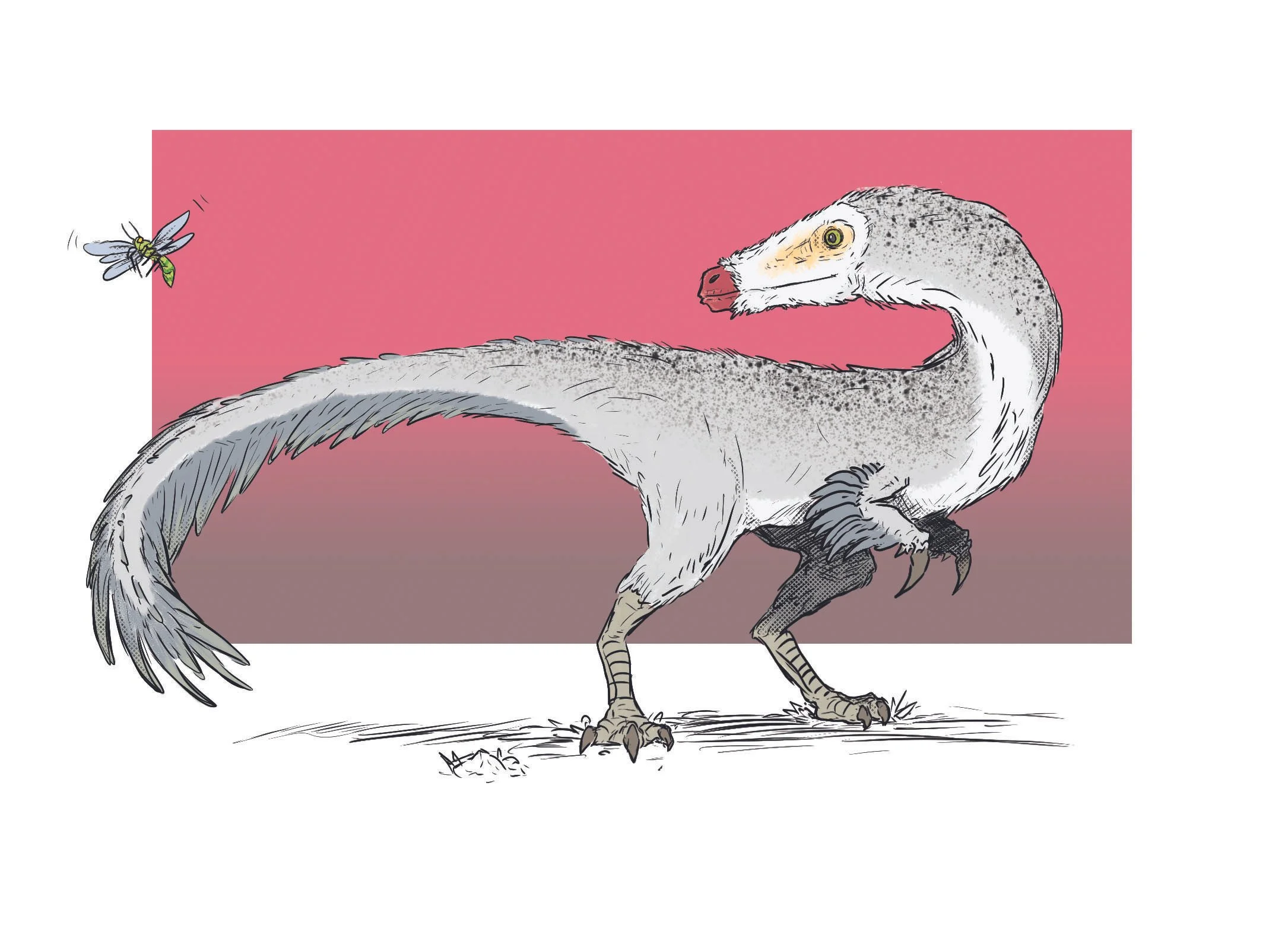 "Mononychus", Digital, 9"x12", 2026