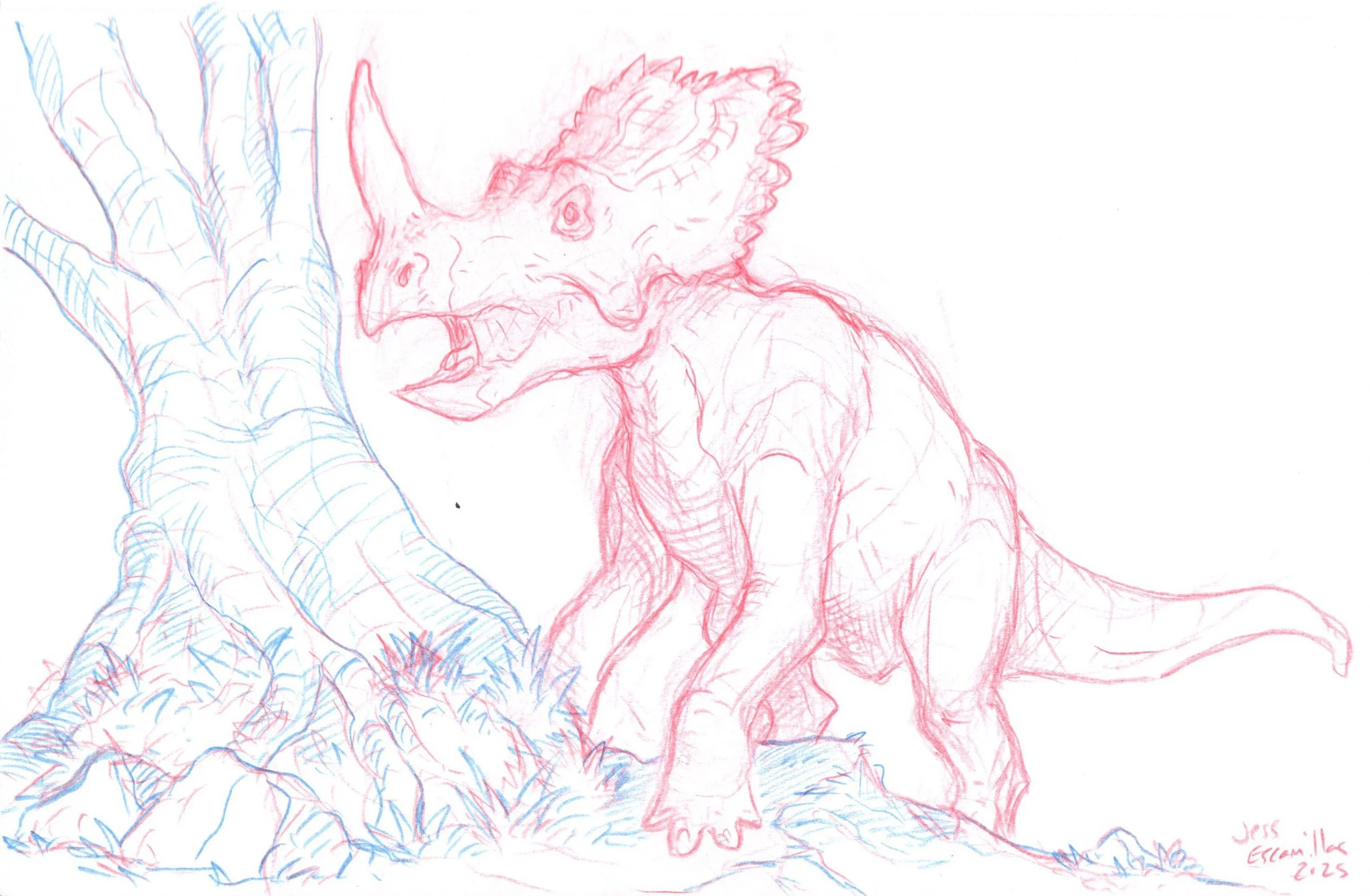 "Centrosaurus", Blue & Red Pencil, 5.5"x8.5", 2025