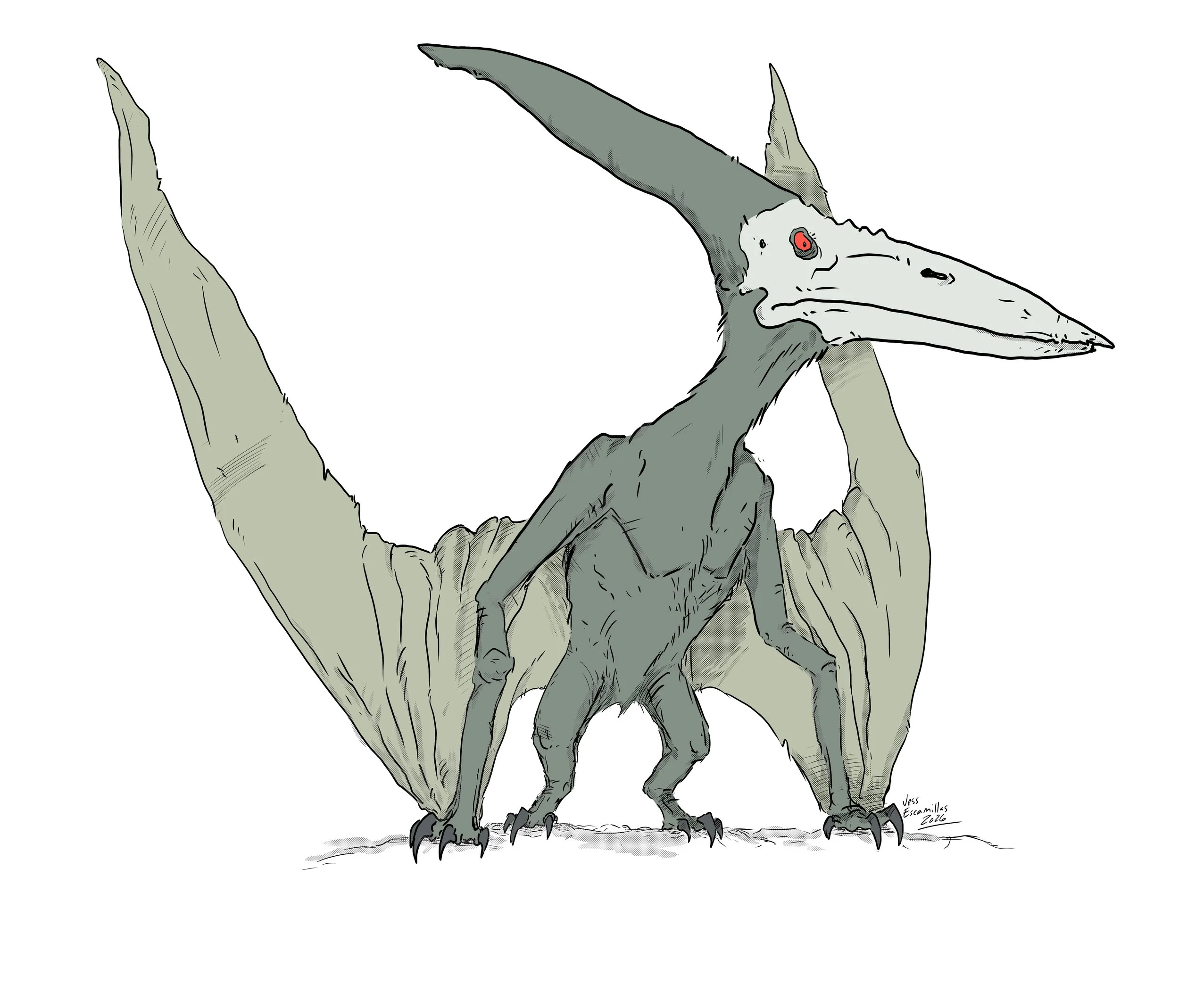 "Pteranodon", Digital, 10"x12", 2026