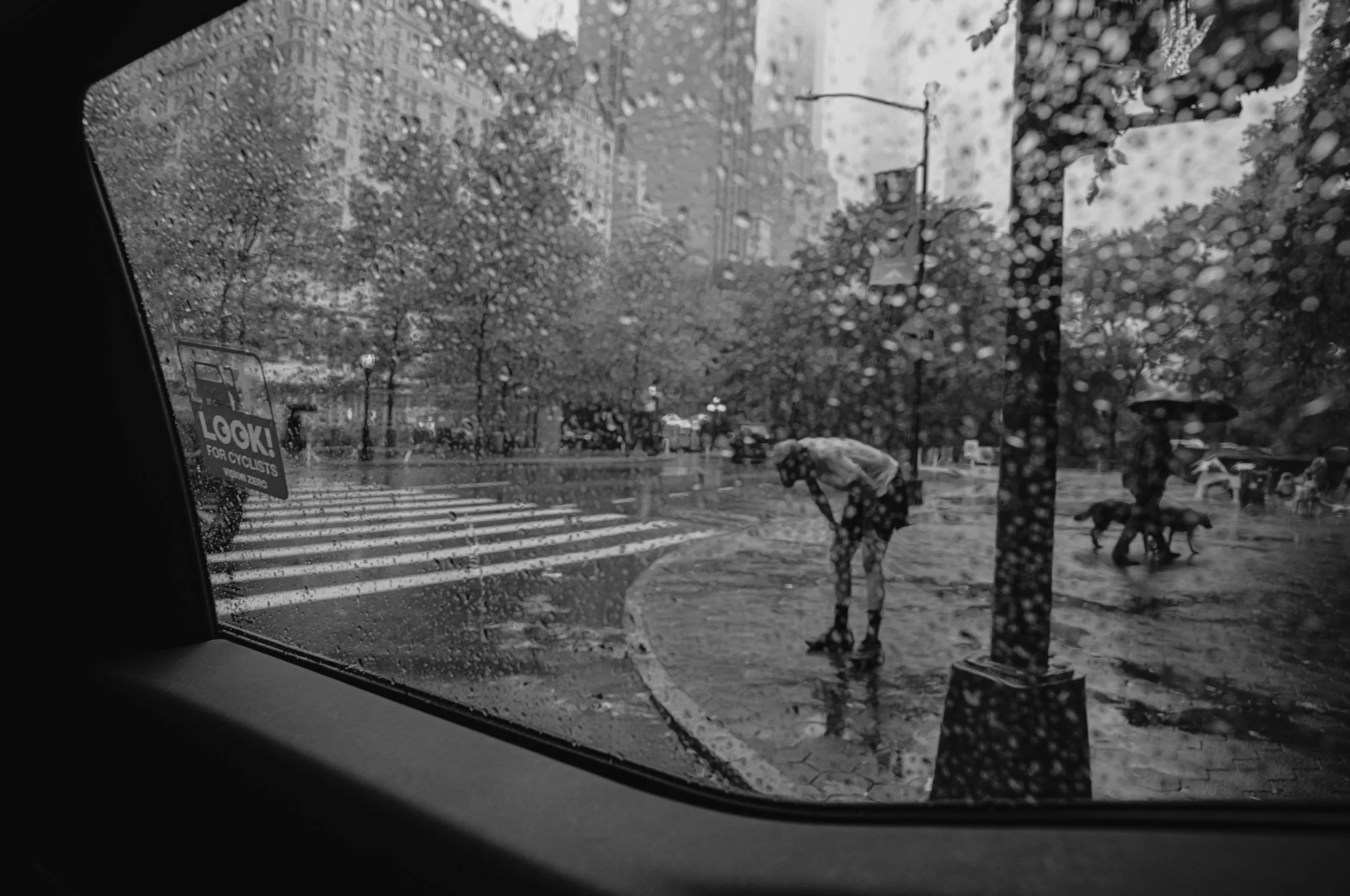 View through a rain-covered car window showing a city street scene in New York with people walking, some with umbrellas, and a dog on a leash. There are trees, benches, and buildings in the background, all in black and white.