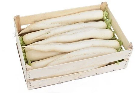 Fresh Daikon - 1Lbs