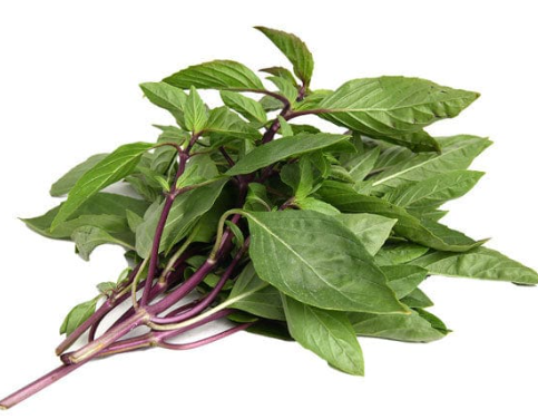 Thai Basil (Hung Que) - 1lb Bag