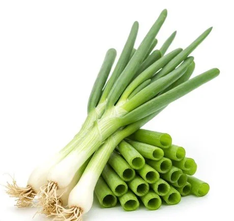 Fresh Green Onion (Hanh La) - 48ct