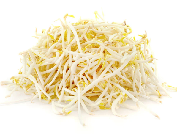 Bean Sprout (Gia) - 10Lbs Bag