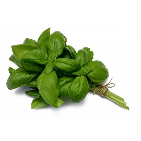 Italian Basil - 1Lbs Bag
