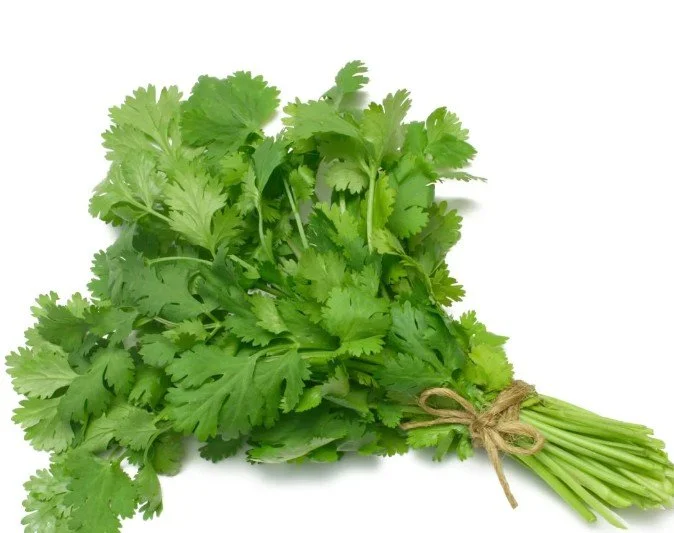 Cilantro (Ngo) - 60ct