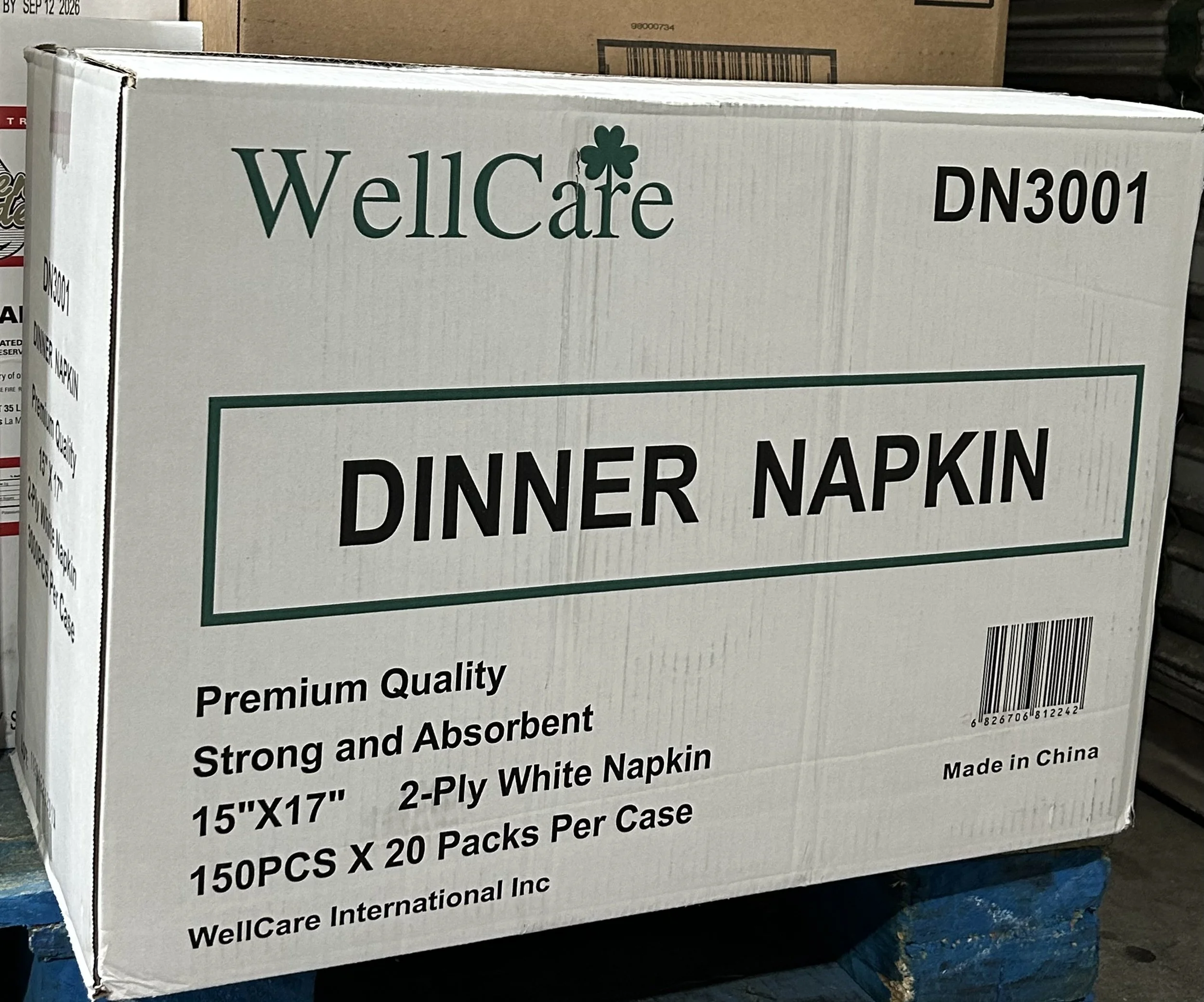 TS - Dinner Napkin WHITE 2 PLY, 1/8 FOLD, 15x17" - 3000ct