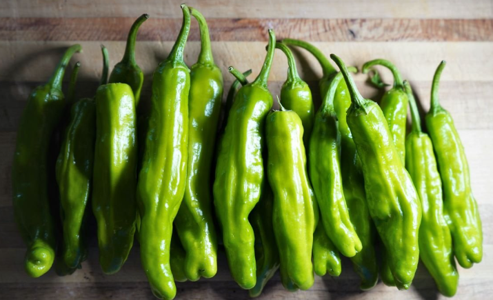 Fresh Shishito Pepper
