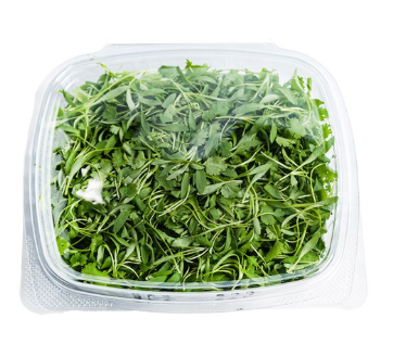 Micro Cilantro - 4oz