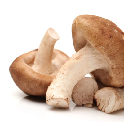 Fresh Shiitake Mushroom