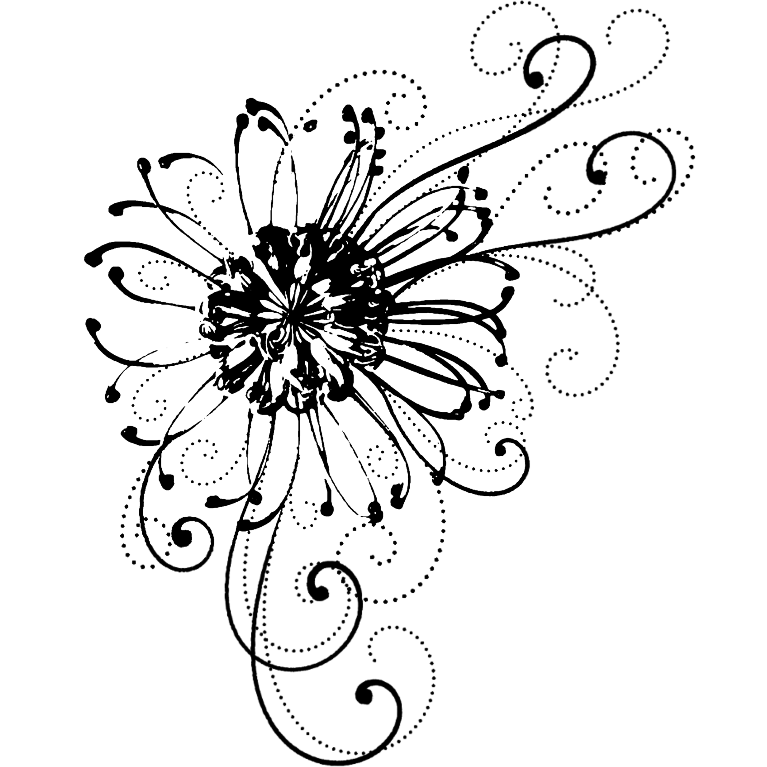 Untitled_Artwork 61.png