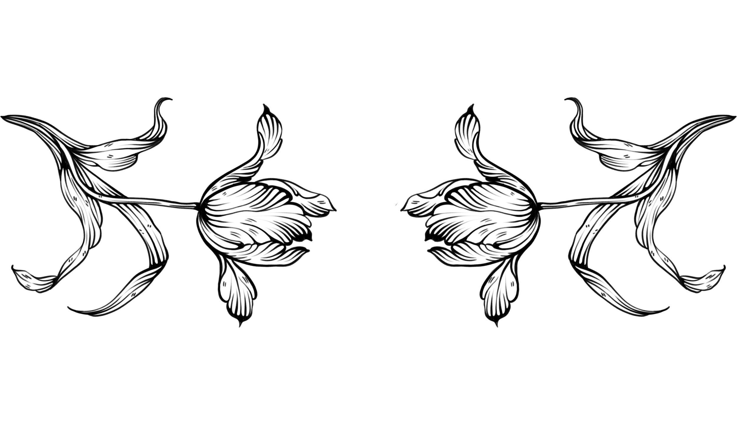 Untitled_Artwork 73.png