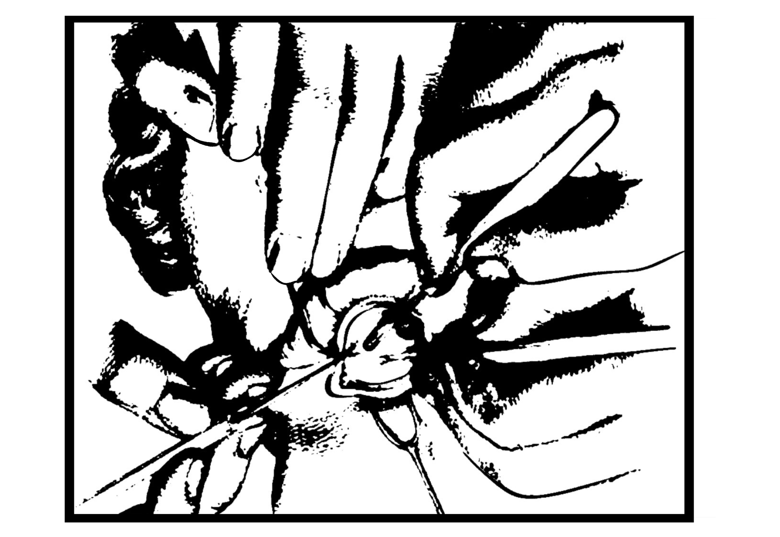 Untitled_Artwork 67.png