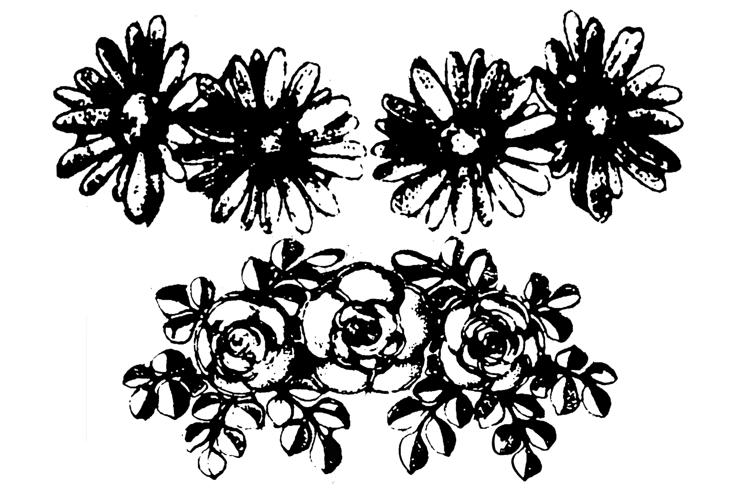 Untitled_Artwork 72.png