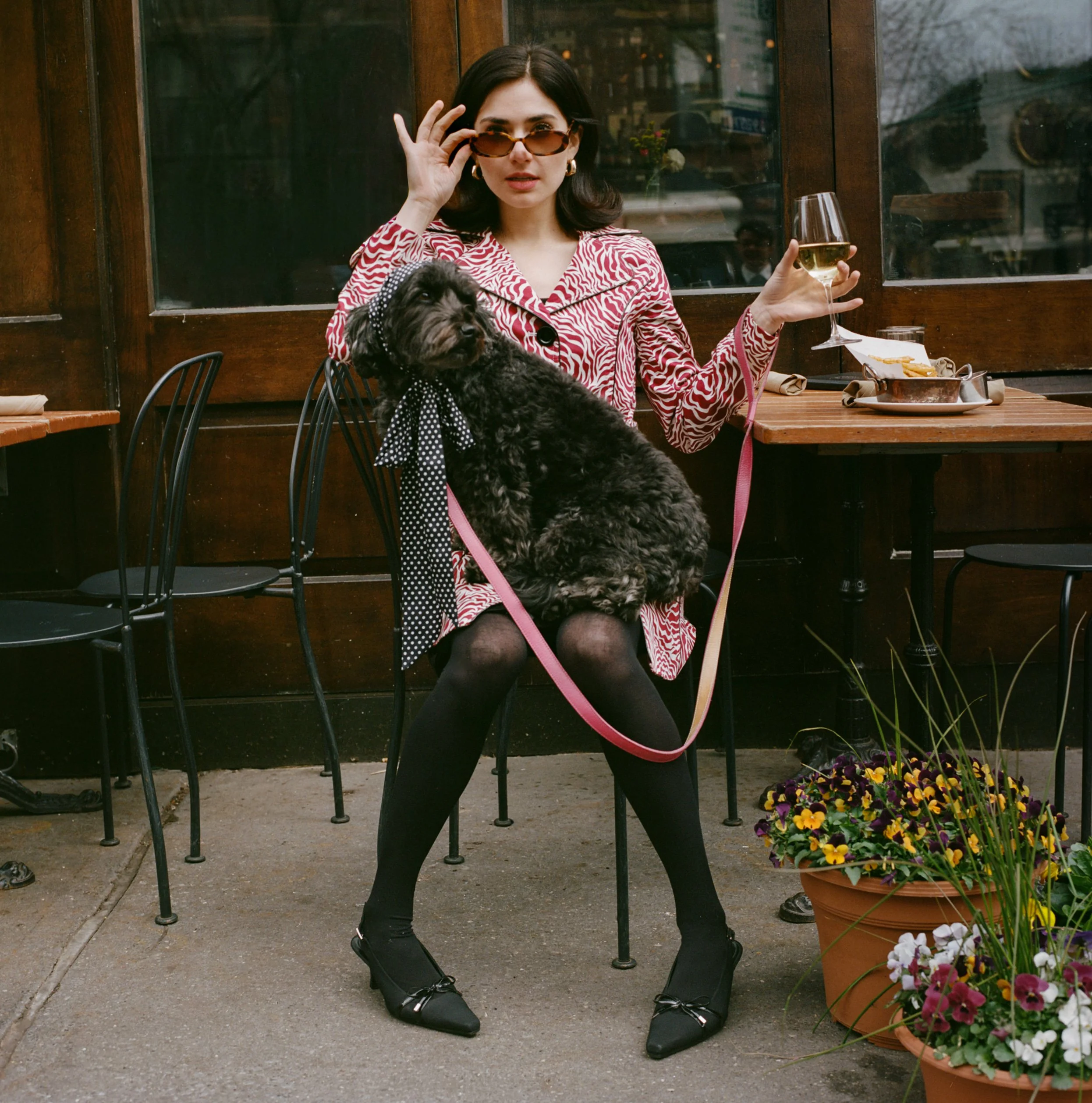chelseadogshootfilm-3.jpg