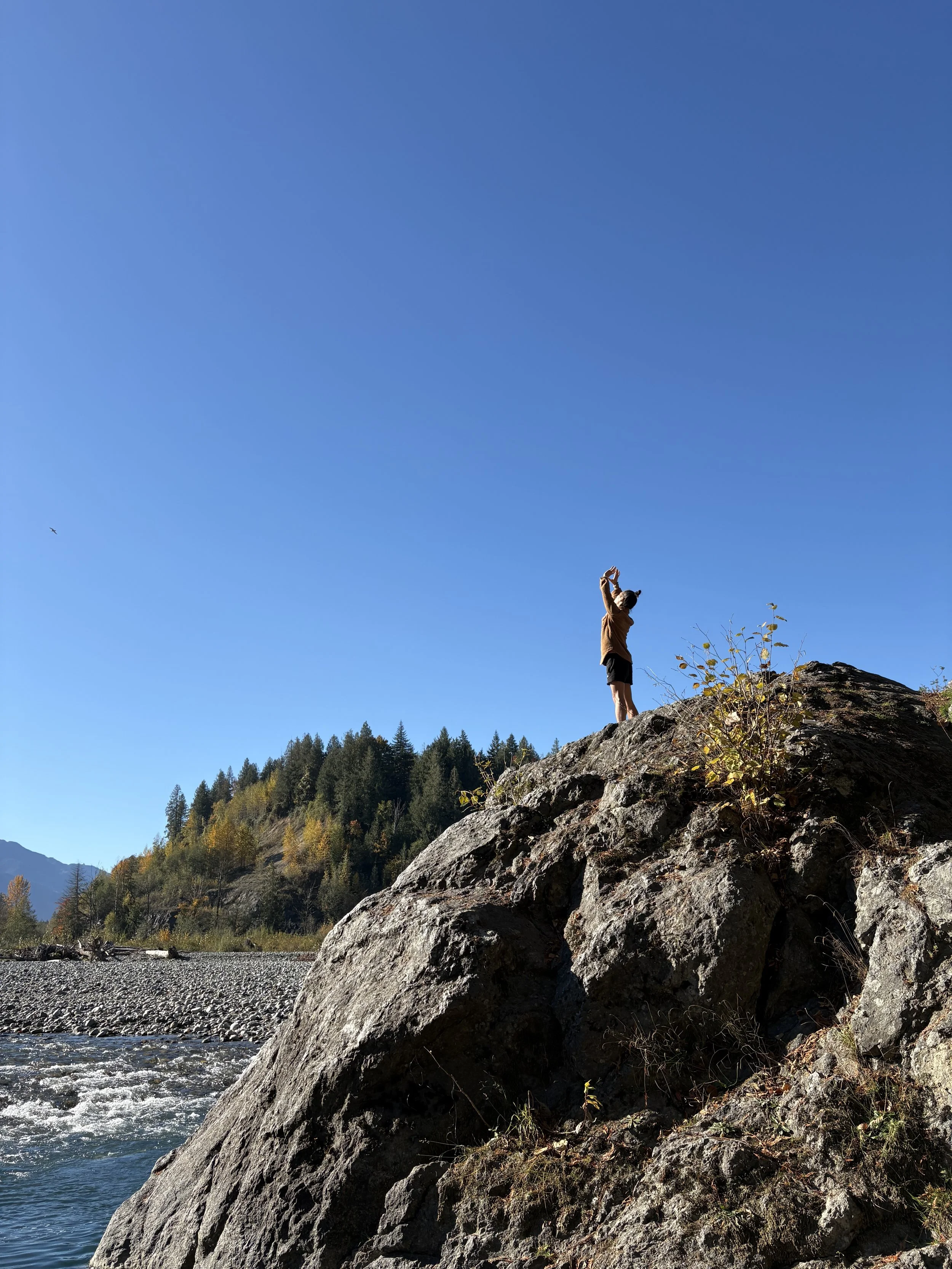 Person photographing from a rocky riverbank beneath a clear blue sky, with autumn forest and mountains in the background.