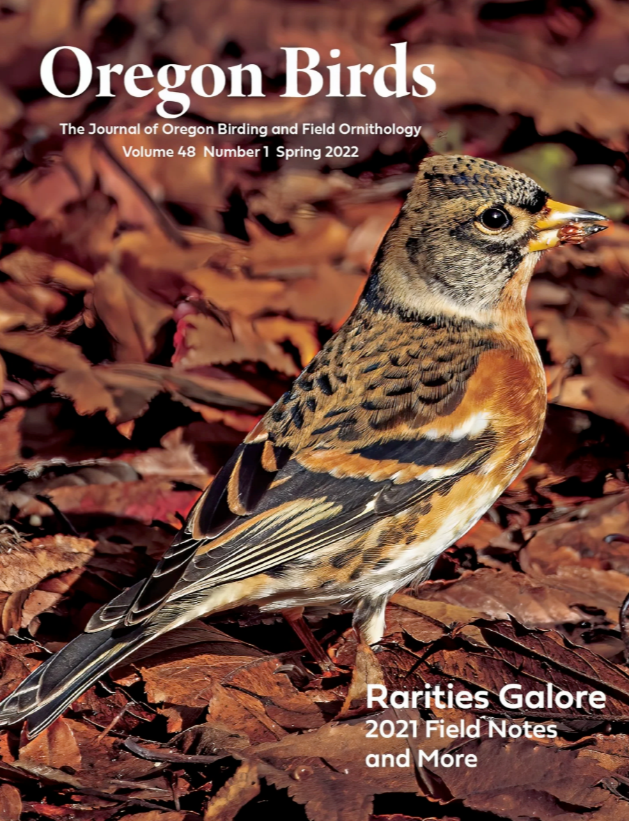 Design and visual editing of the Spring 2022 edition of "Oregon Birds - The Journal of Oregon Birding and Field Ornithology." Click the image to view the full issue PDF.