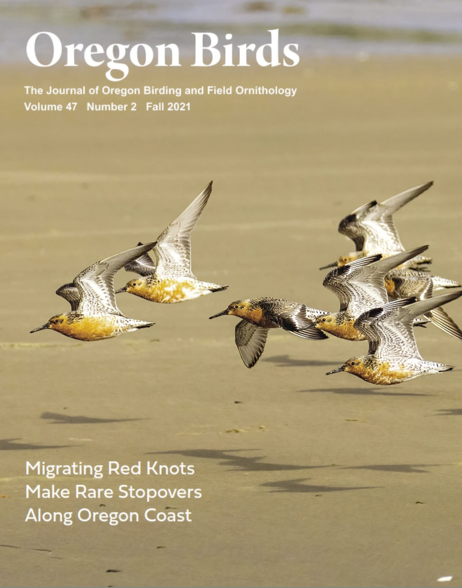 Design, text, and visual editing of the Fall 2021 edition of "Oregon Birds: The Journal of Oregon Birding and Field Ornithology." Click the image to view the full issue PDF.