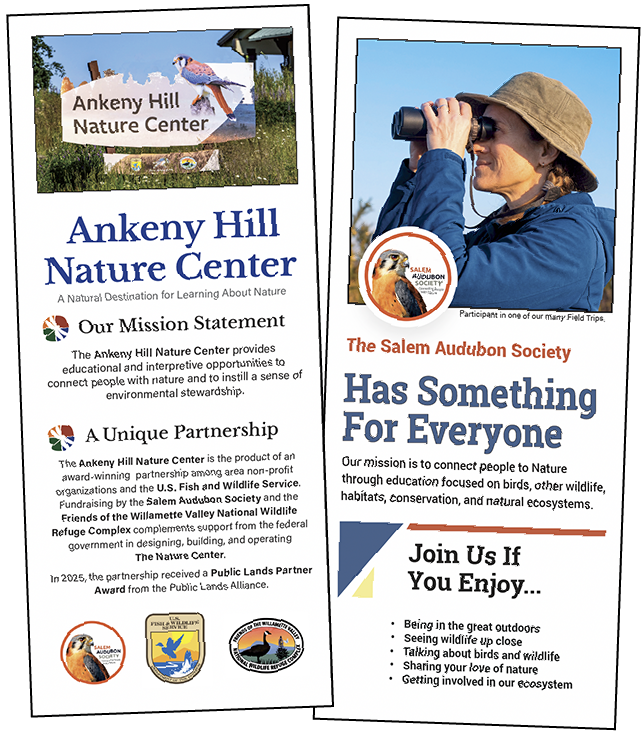 Front pages of two tri-fold pamphlets detailing the partner organizations. Design and editing of the pamphlets. Click the image to view it larger.