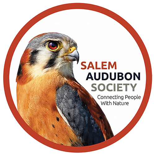 Primary logo for the Salem Audubon Society.