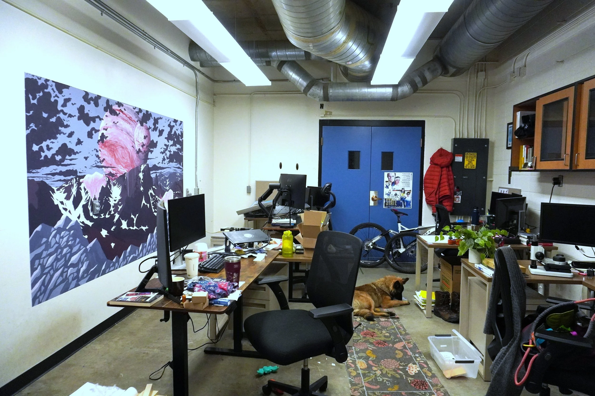 Cluttered office with computer workstations, blue double doors, exposed ventilation ducts, mountain artwork, bicycles, and a dog lying on the floor.