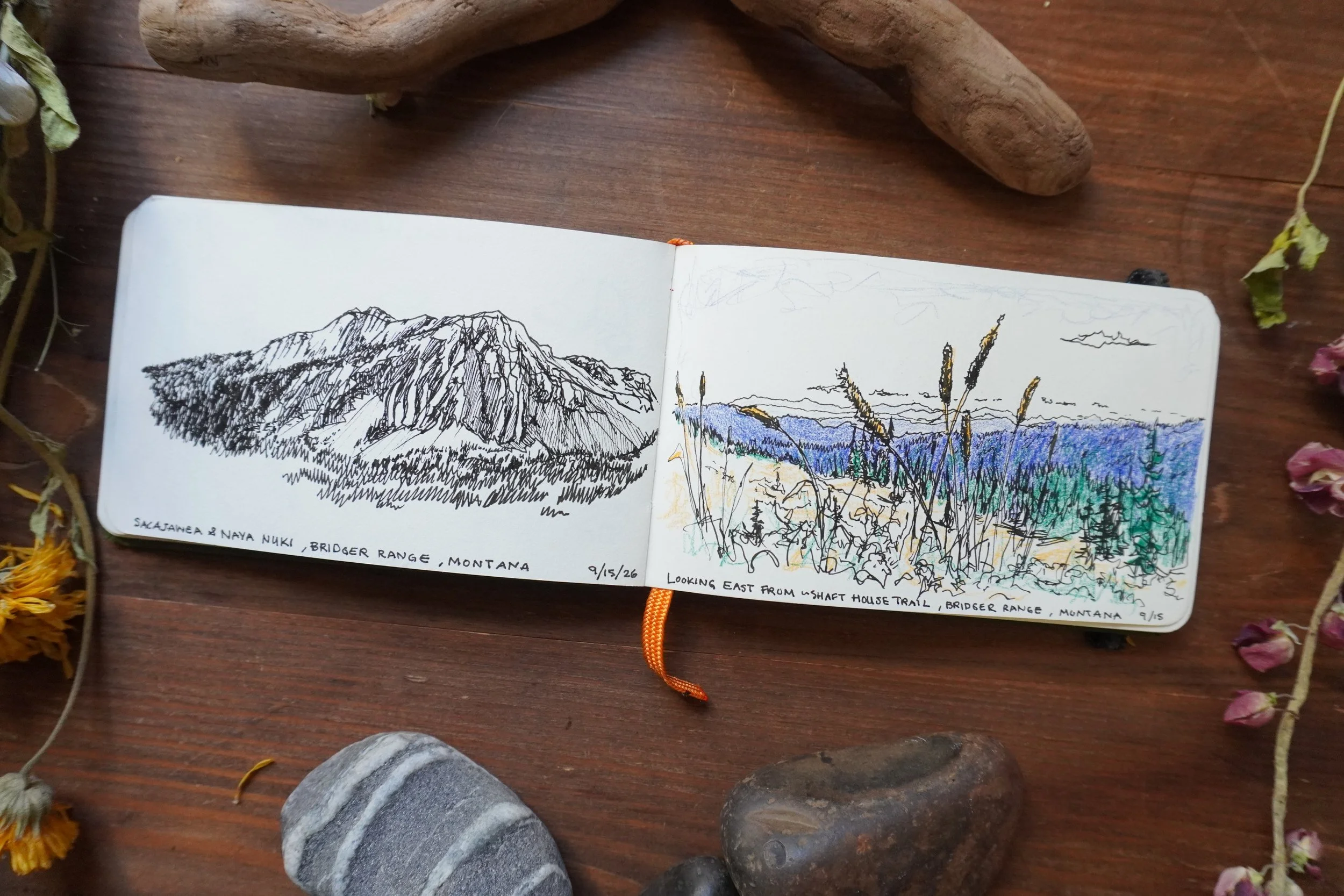 Open sketchbook showing hand-drawn Bridger Range mountain landscapes in Montana, surrounded by driftwood, rocks, and dried flowers.