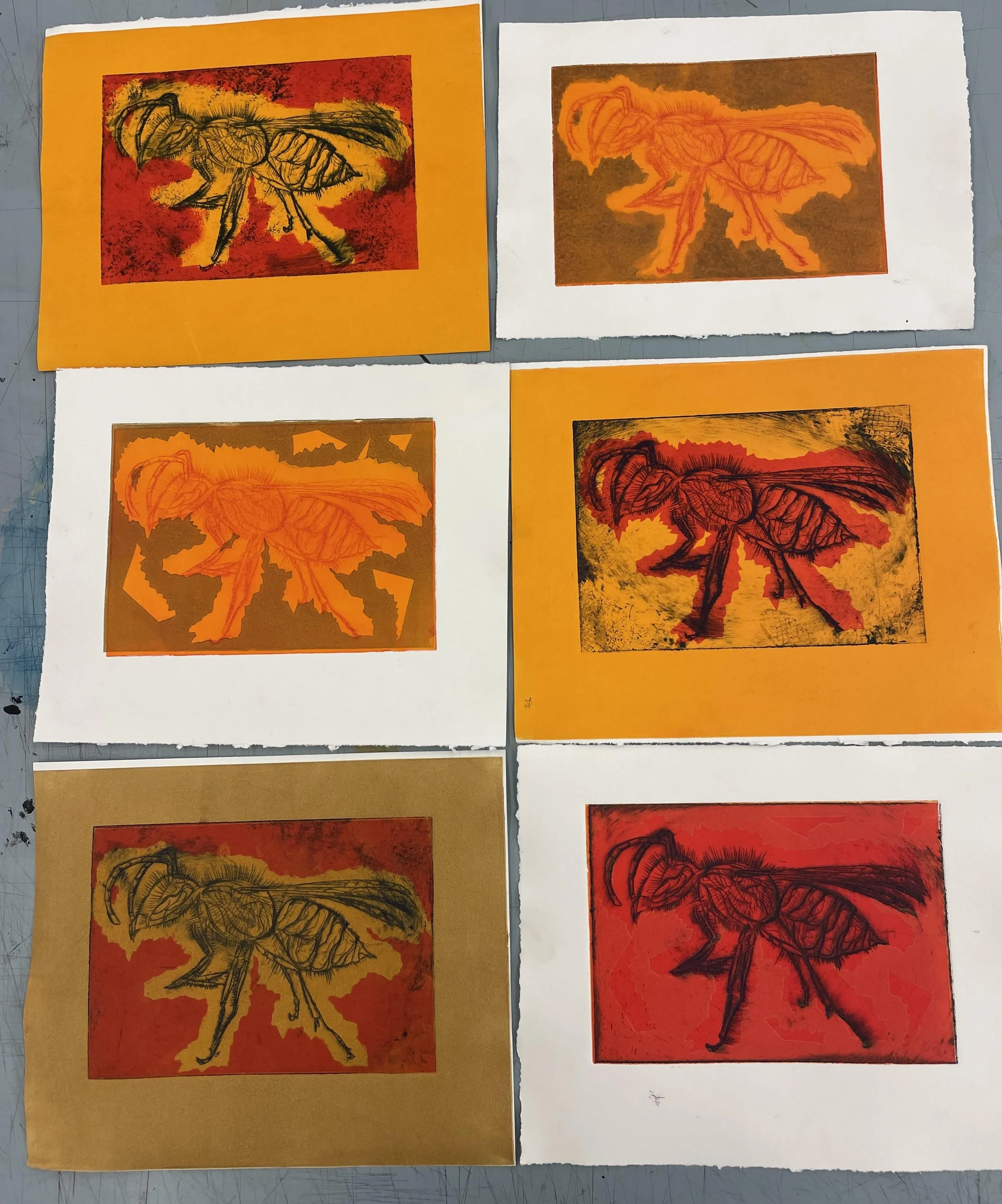 Collection of colorful prints depicting Yellowjacket wasp. 