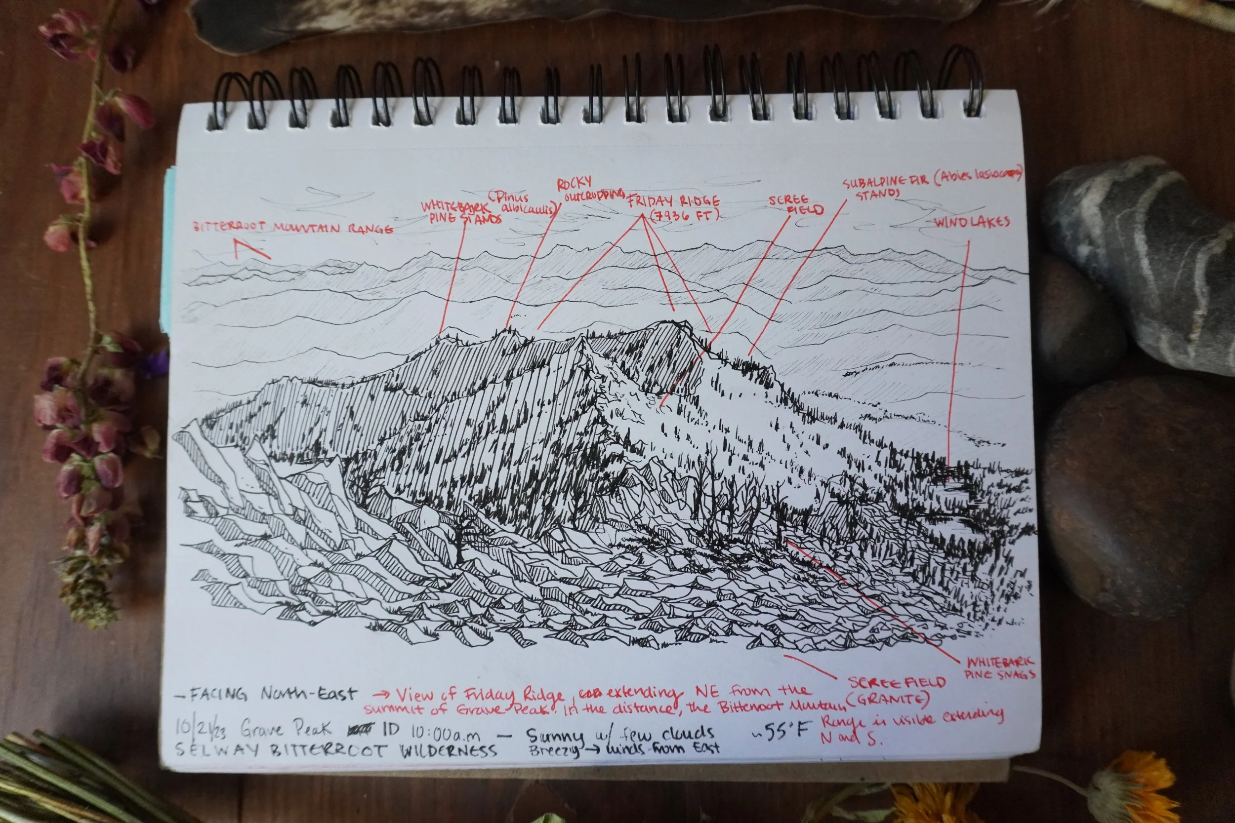 Hand-drawn mountain panorama of Friday Ridge and Grave Peak in Idaho’s Selway-Bitterroot Wilderness, labeled with surrounding peaks and vegetation.