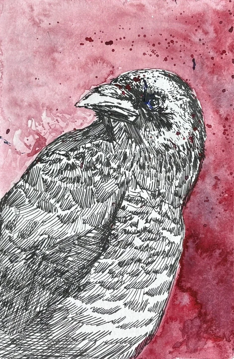 Ink and watercolor illustration of Raven against a pink splattered background