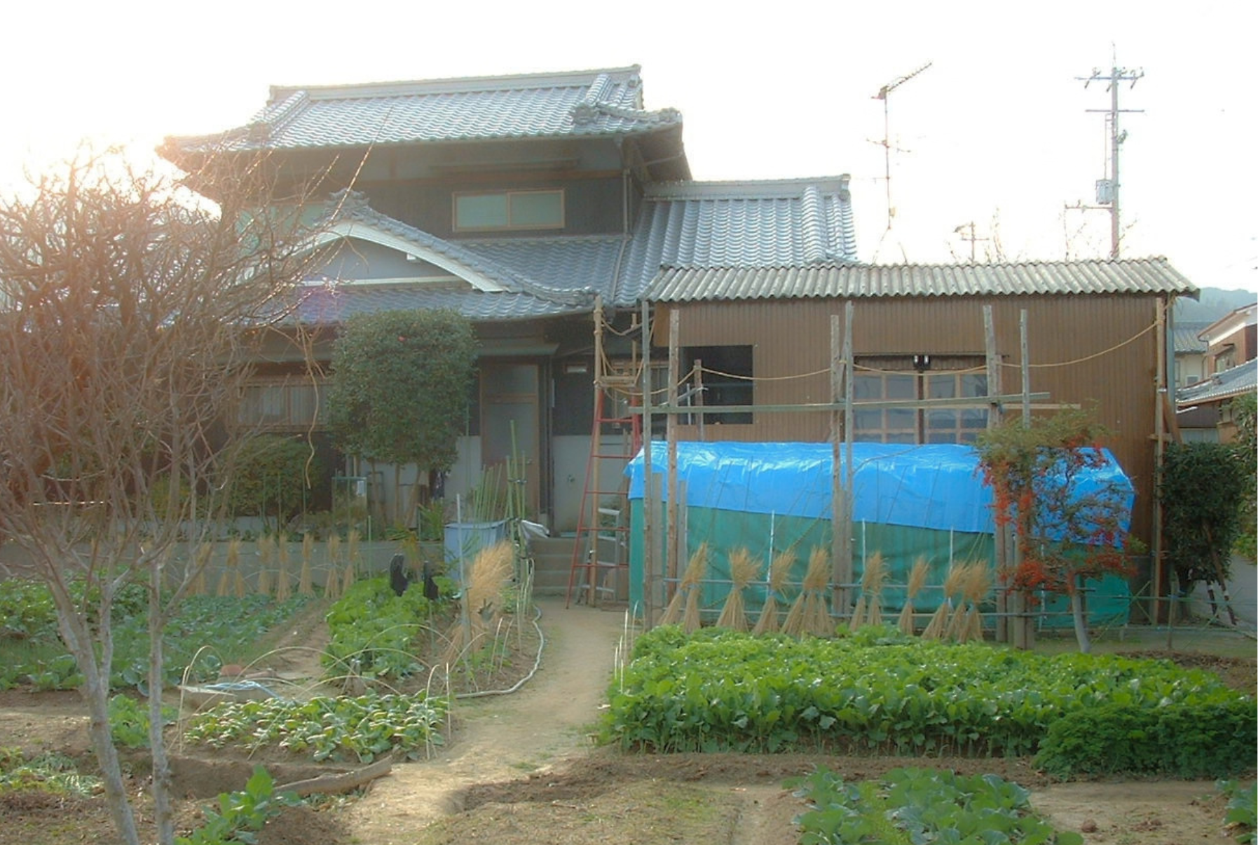 MANZIL 008: JIJI AND BA-CHAN'S HOME 

When I was little, I often travelled back to Japan to see my grandparents. They lived in a traditional Japanese home in the countryside. My fondest memories with them are helping out in the garden and eating food