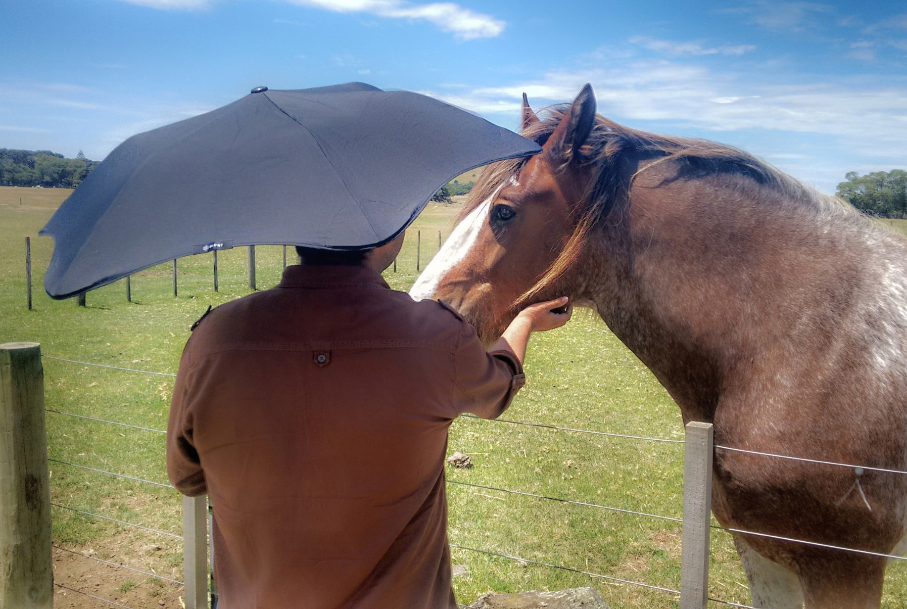 MANZIL 026: A GENTLE TOUCH 

On a journey, sometimes the most beautiful moments are the unexpected ones. My son stopped to connect with this gentle horse, creating a moment of trust and wonder along the way.
- Jyoti