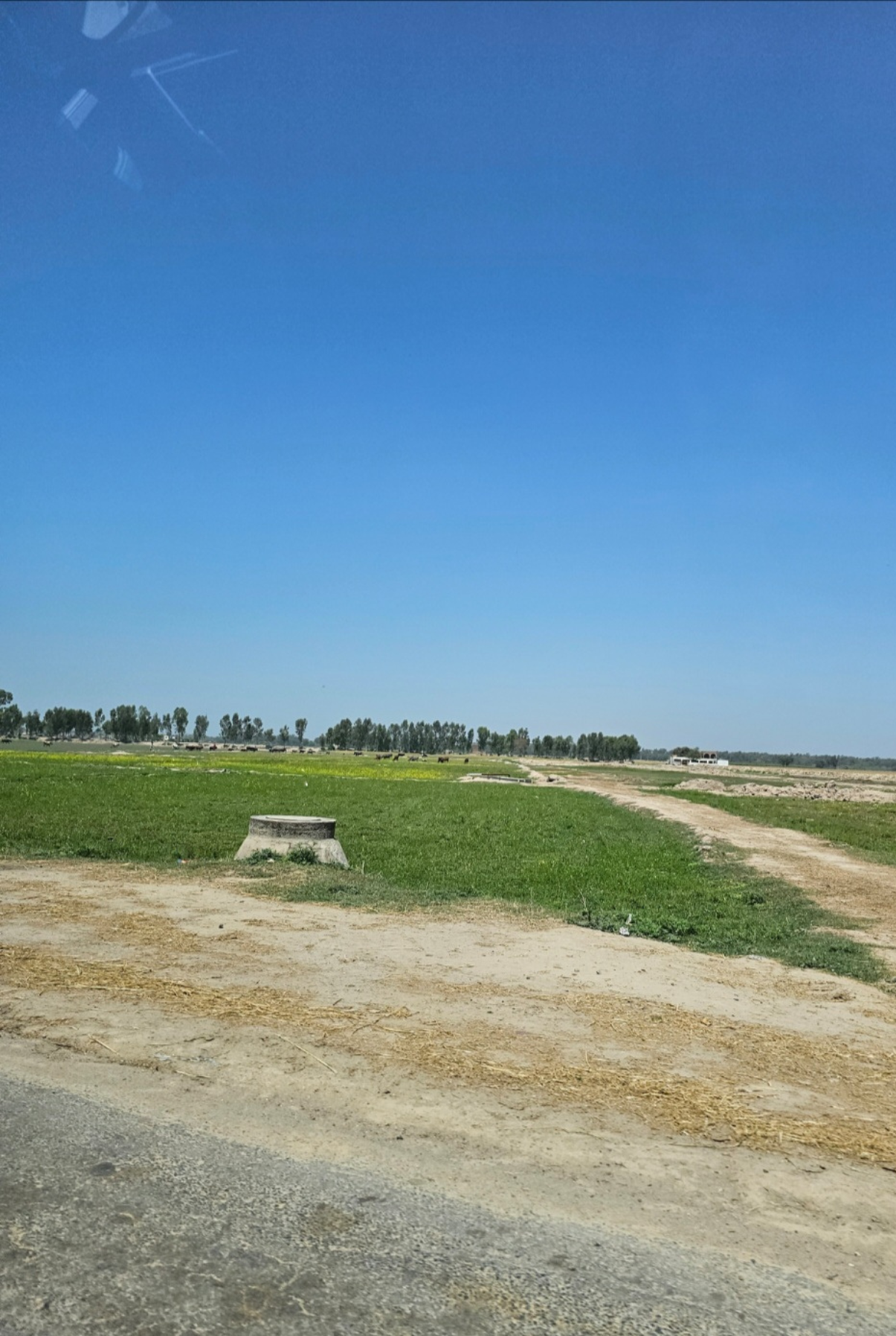 MANZIL O32: PAKISTAN

Farms in Pakistan 
- Zara
