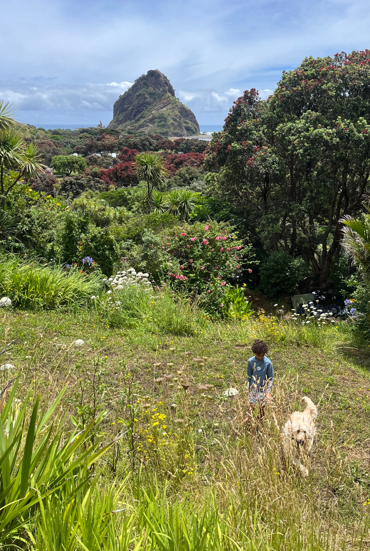 MANZIL 030: FREEDOM

This picture was taken at our family friends land in Piha. It gives me a sense of freedom, that is what home feels like.