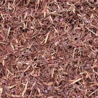 Hemlock Mulch texture