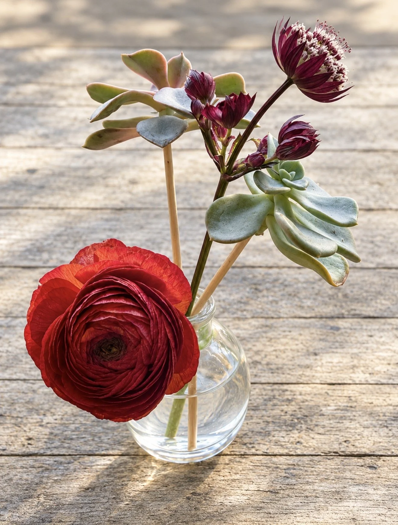 A small glass vase holding a succulent plant with green and purple leaves, a large red ranunculus flower, and purple and white flowering sprigs, on a wooden surface.