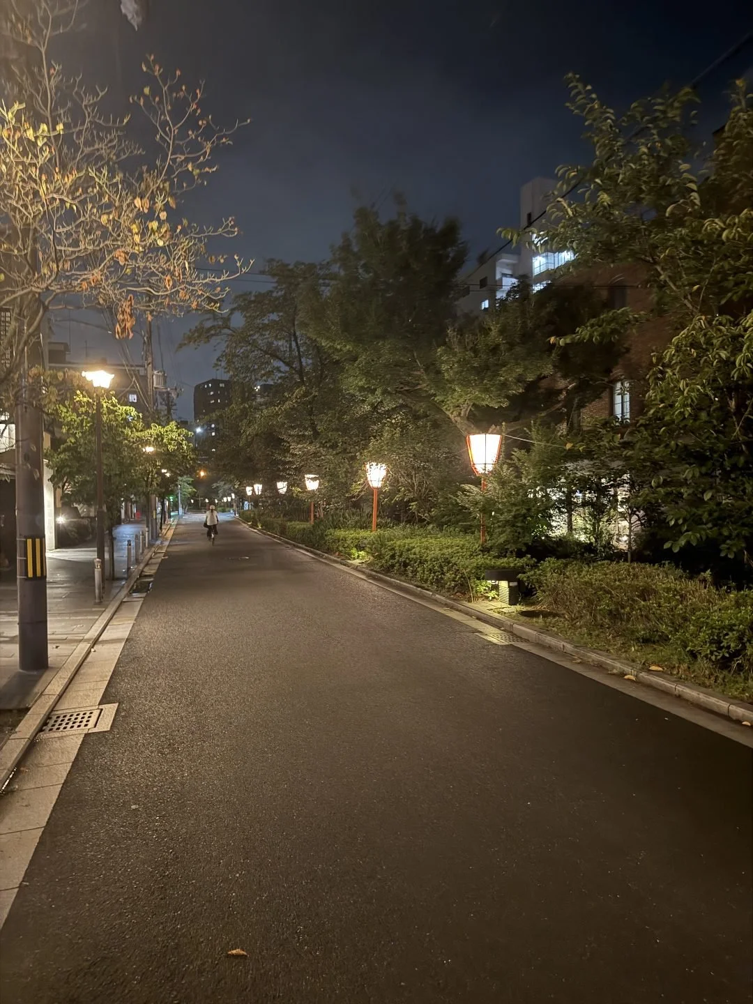 Things To Do in Kyoto - Lantern-Lit Streets