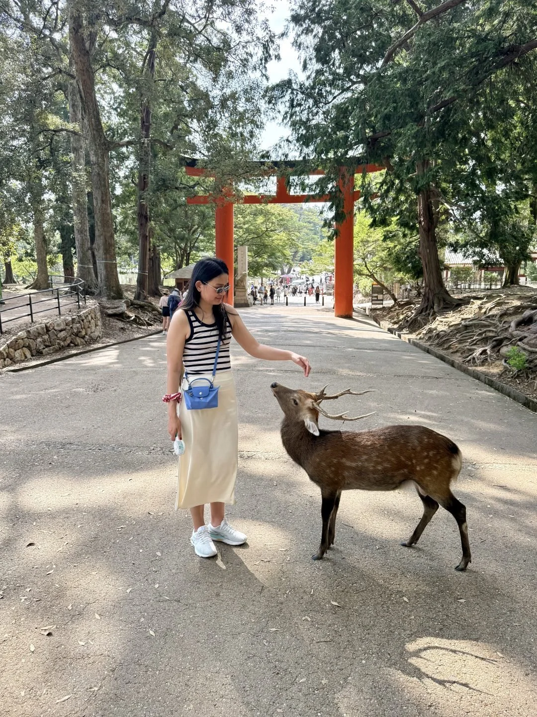Things To Do in Osaka - Bowing Deer of Nara
