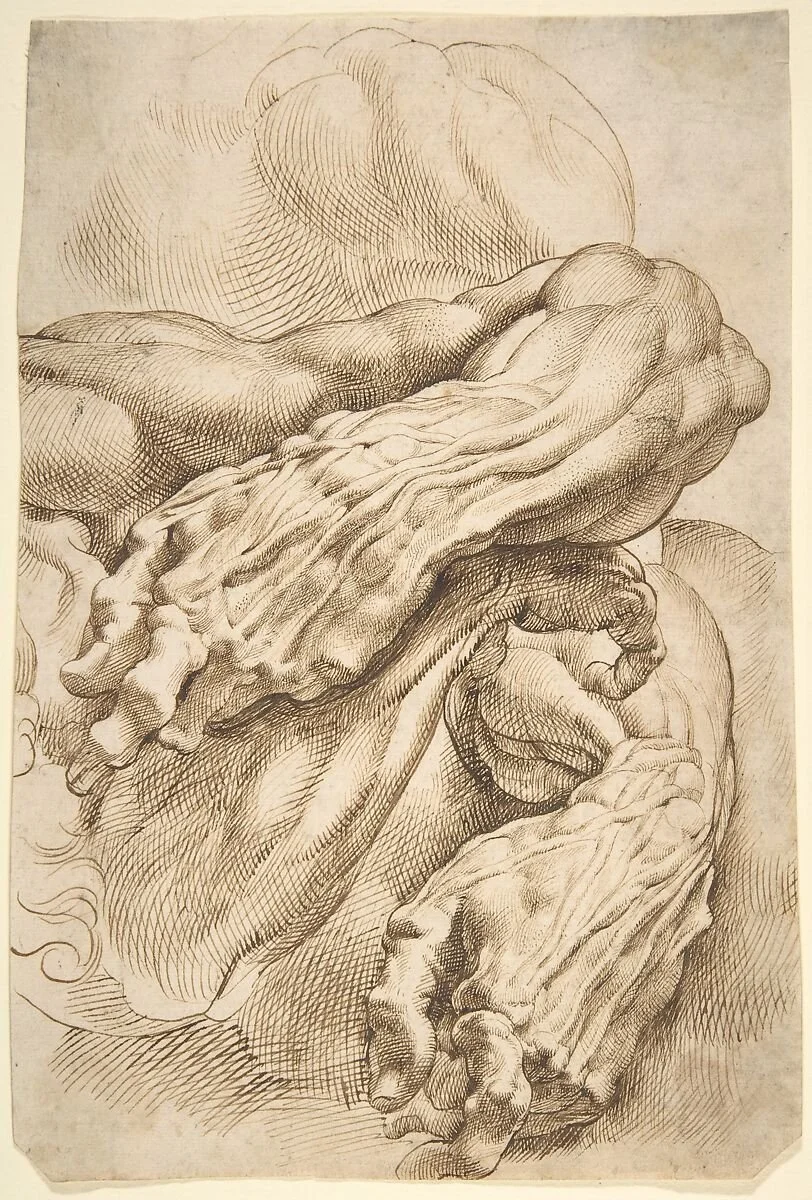Rubens study of an arm drawing in pen and ink with cross hatching technique