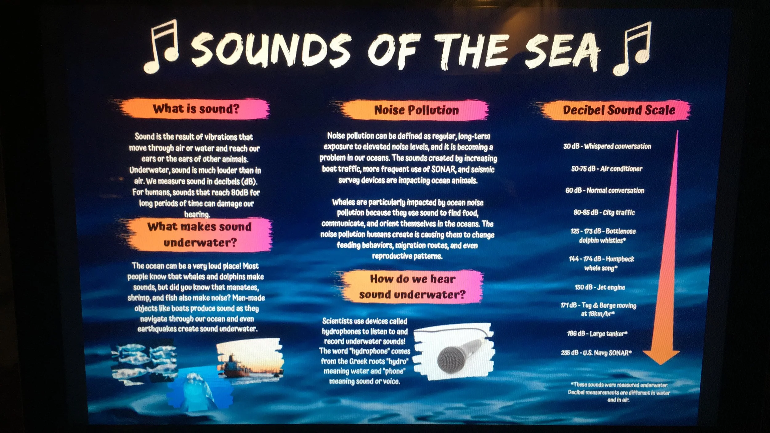 Informal Education - Smithsonian Marine Ecosystems Exhibit Temporary Installation