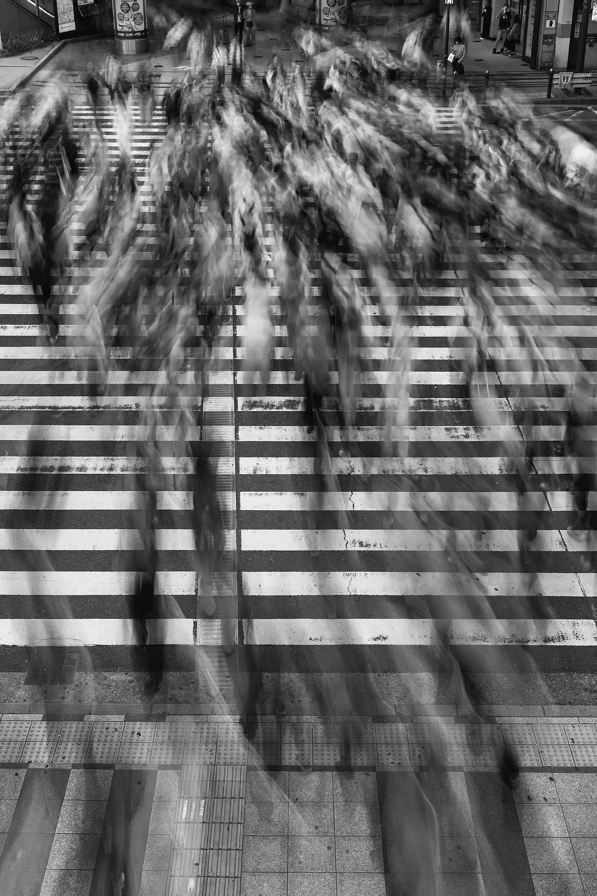 019_触覚都市.jpg