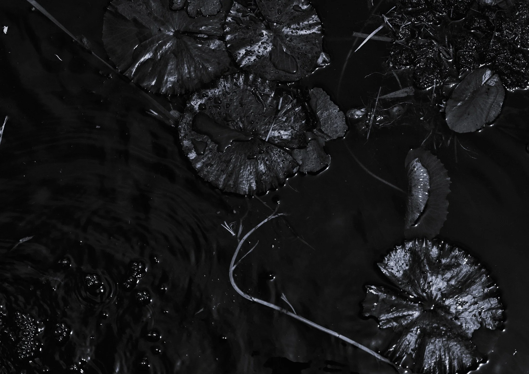 02_Surface.jpg