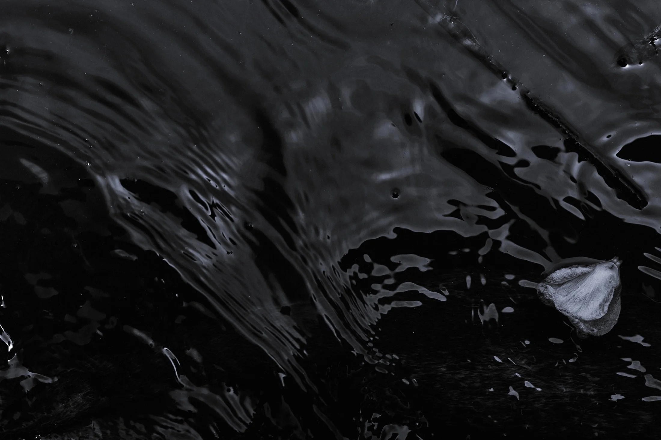 03_Surface.jpg