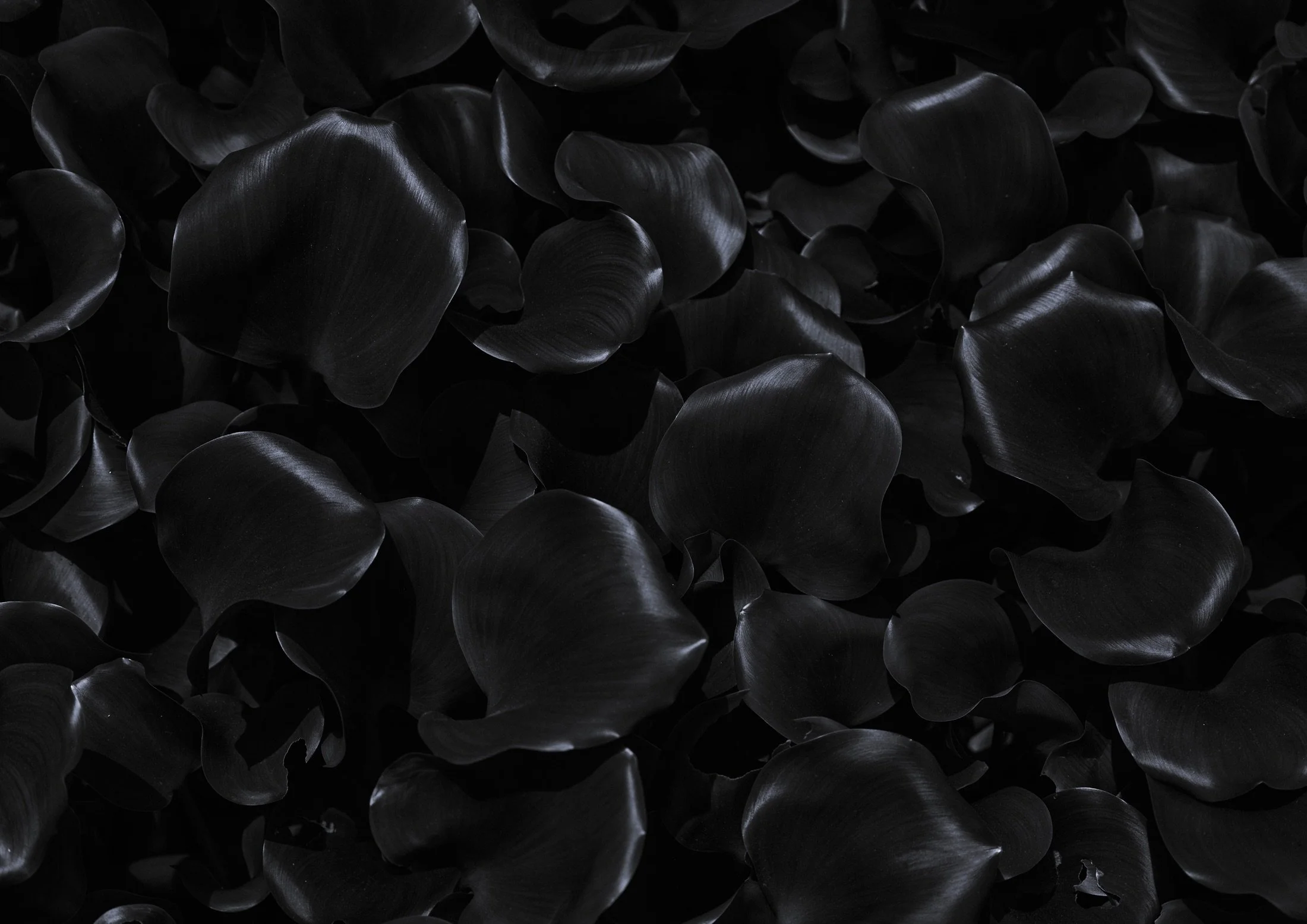 01_Surface.jpg