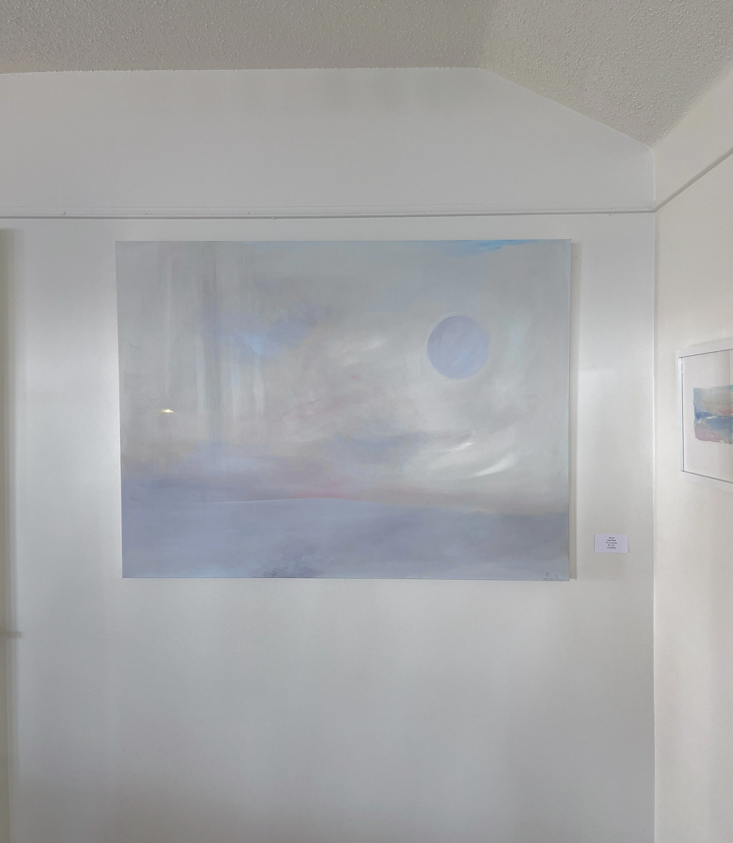 Salt_air_silk-Purse_installation.jpg